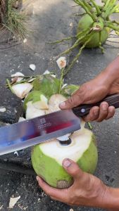 Jaya Mata Stainless Steel Coconut Knife (10") JM7