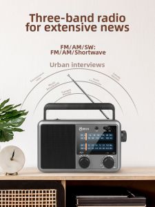 BAOZOUTU | Bluetooth Full Band Tabletop Elder-friendly Radio