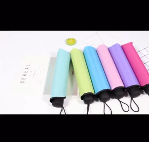 Multi-function Umbrella Lady Princess Sunny and Rainy Dual Use