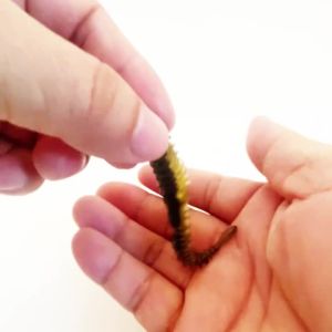 10PCS Soft Lures 6.5cm 7.5cm 8.5cm TPE Thread Worm Bait Fishy Flavor Swimbait Crankbait Jig Hook Carp Fishing Tackle Pesca Gear