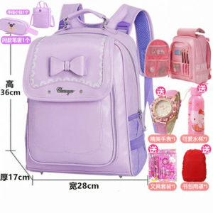 Waterproof Lightweight Backpack for Students