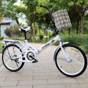 Portable Folding Bicycle 20 inch