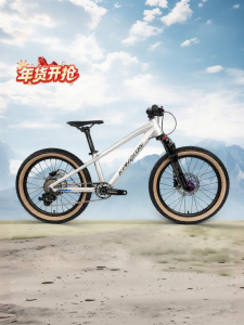 RoyalBaby | Youth Competition Mountain Bike Suspension Gear