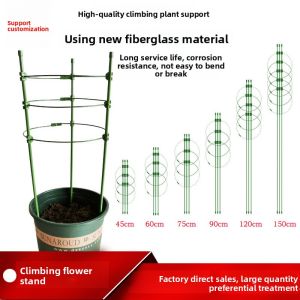 Garden Support Ring Frame Climbing Trellis Iron Fixation