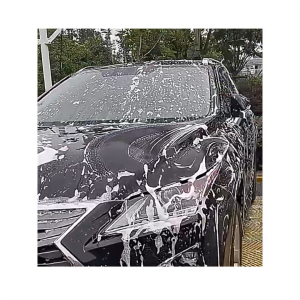 10 Gói Túi Bột Rửa Xe Ô Tô Car Shampoo Powder Bột Vệ Sinh Xe Đánh Bay Vết Bẩn Hiệu Quả-HAUSE
