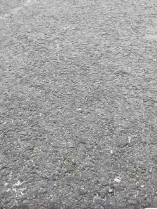 Penghantaran dari China [2025] Patung Harimau Gemuk Desktop Ornamen Meja Pejabat Hiasan Rumah Hiasan Pintu Masuk Ruang Tamu Hiasan Rumah Comel 3.5