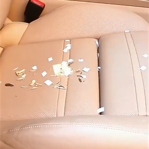 [SG Stock] Multi-Purpose Strong Engine 6000Pa Vacuum Cleaner and Pump