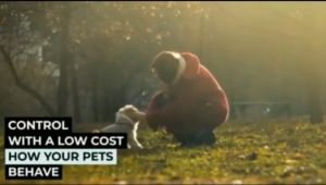 เครื่องไล่สุนัข ระยะหวังผล 1-3 เมตร เครื่องป้องกันหมา เครื่องกำจัดหมอูปกรณ์ป้องกันการเห่าของสุนัขการฝึกสุนัข