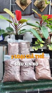 Túi 5L Xơ chip mụn - Mụn xơ dừa đã xử lý - Giá thể trồng cây chất lượng cao | Độc quyền Family Garden