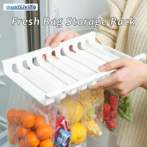 JustLiving Refrigerator Ziplock Bag Storage Rail Rack 9 Slot Hanging Storage Clip Sliding Rail Tray Retractable Fridge Drawer Storage Organizer for Fruits Vegetable Food Fresh-Keeping Zipper Bag Holder