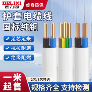 Delixi Pure Copper Wire Cable 2 Core 3 Core Power Supply Home Use Soft Cable National Standard RVV/VB/RVVB Shielding Cable