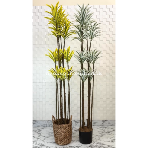 Pohon Artificial Tanaman Hias Song Of India T170 Variasi Warna Kuning & Putih Latex Cover Eceng Gondok Handle Dekorasi Ruangan Kantor Aesthetic