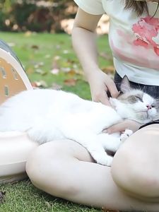 Space Capsule Cat CageComfortable lining all-round breathability Portable Traveling Outing Cage Outing Cage