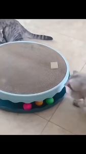 ที่ขัดเล็บแมวทรงกลมด้านล่างรางบอล [1] 30 ซม. - LCK002-2