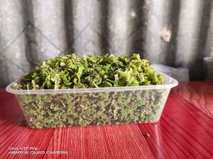 AZOLLA AQUATIC PLANT 500 ML