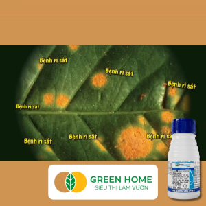 Thuốc Tilt Super 300EC GreenHome Chai 100ml – Trừ Rỉ Sắt Thán Thư Nấm Hồng Vàng Lá Đốm Lá Khô Vằn