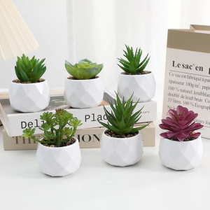 Artificial Succulent Plants Potted Simulated Creative Green Plants Desktop Home Decor Fake Plants