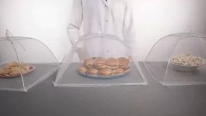SOLIDHOME Foldable Food Cover: A Comprehensive Guide