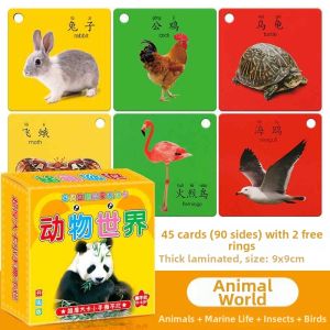 ZHIYADU | Early Education Cognitive Durable Flash Cards
