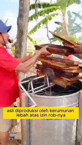 Madu Arsy Original Multiflora