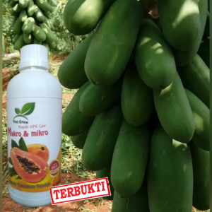 Pupuk Cair 500 ml Booster Pepaya Agar Cepat Berbuah Lebat| Pelebat Pemacu Bunga anti rontok