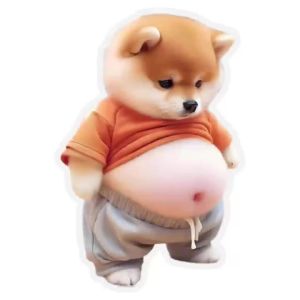 1-10pcs 3d Stickers Cute Shiba Inu Puppy Belly Sticker Big Belly Dog Decals For Cell Phone Refrigerator Decorative
