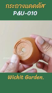 กระถาง PU010  ขนาด 2.5 นิ้ว คละสี 24 ใบ กระถางกระบองเพชร กระถางปลูกต้นไม้  เนื้อพลาสติกแน่นหนาทนทาน ราคาถูก กระถางแคคตัส กระถางกระบองเพชร