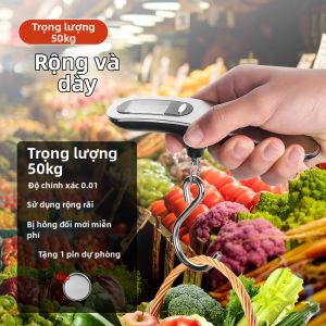 Điều Hòa Nhiệt Độ Điện Tử Cầm Tay Độ Chính Xác Cao Mini Cầm Tay Thương Mại Đàn Hồi Hành Lý Máy Câu Cá 824