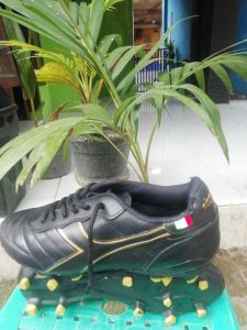 Sepatu Bola Sepatu Olahraga. Sepatu Futsal