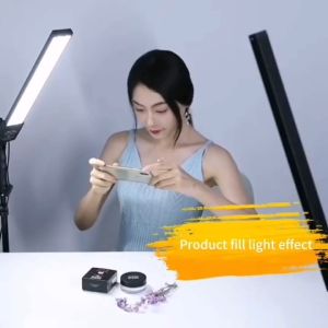 Twin Led Light Photography Led Fill Light Handheld Studio LED Lighting Kit Dimmable LED Video Light