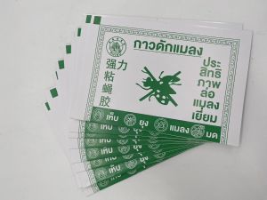 กาวดักแมลงวัน 10 แผ่น รุ่นกระดาษ กาวเหนียวแน่น กระดาษสีเขียว กาวไม่เยิ้ม มีสารล่อแมลงในกาว insect glue