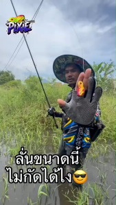 กบยางพิกซี่ Pixie ขนาด 4 ซม.น้ำหนัก 8 กรัม ตัวเบ็ด 3/0 พิกซี่ น้าโอ๊ต USA ใบหลิวเดี่ยว เบ็ดทางเดียว เหยื่อปลอม ตกปลา เหยื่อตกปลา