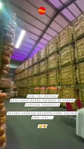 Kacang Atom Gangsar 180 Gram: Makanan Ringan Kacang Shanghai