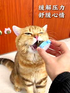 Cat Crab Catnip Toy Catnip for Cats Toy Cat Toys For Kitten Toys Cat Teaser For Cat Pet Toy