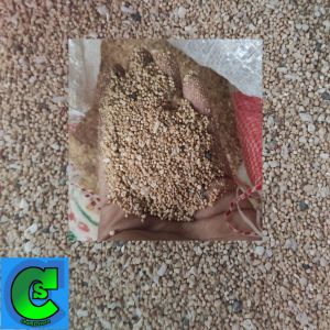 Pasir bali 1 karung 10kg / pasir bali aquascape / pasir bali karungan