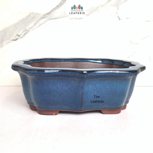 The Leaferie Bonsai plant pots (Series 70) flowerpot . flowerpots . flower pot planter Ceramic