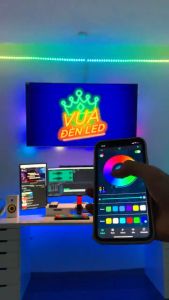 Đèn led tikotk RGB 16 triệu màu nháy theo nhạc dây led chống nước điều khiển bằng điện thoại decor trang trí phòng ngủ