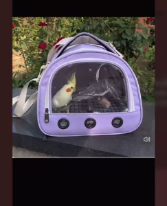 Parrot Birds Small Animals Portable Travel Carrier/Outing Bag