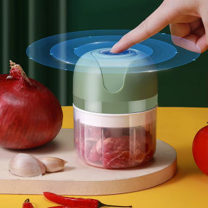 Electric garlic grinder garlic puree machine mini meat grinder 250ML kitchen ginger chili vegetable chopper food mixer