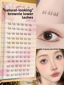Faiccia | Natural-looking Segmented Fire Shaped Transparent Single False Eyelashes