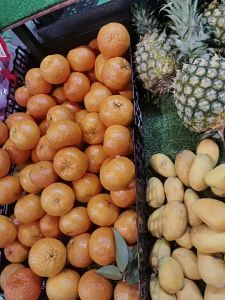 Simulasi Rumput Hijau Rak Supermarket Toko Buah Khusus