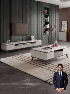 Light Luxe Minimalist Marble Coffee Table TV Stand Combination