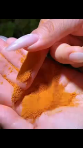 อาหารปลากัด ไข่อาร์ทีเมีย อาหารลูกปลากัด อาหารลูกปลาสวยงาม ใช้อนุบาลลูกปลาแรกเกิดทุกชนิด เทตู้ปลาได้ทันที ช่วยในการเร่งการเจริญเติบโตของลูกปลา