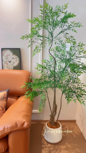 [WITH FREE GIFT] Green Nandina Artificial Plant Artificial Tree Free Planter Basket Free Plastic Plant Pot Indoor Plant Indoor Decoration Home Decor Fake Plant Tree Decor Tall Plant Pokok Hiasan Pokok Palsu Plant Decor Living Room Entrance Office