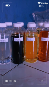 Essen Ikan Nila Media Lumut 10ml