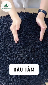 Trà dâu tằm sấy khô nguyên quả 500g dâu đen sấy nguyên vị pha trà hỗ trợ tốt cho tiêu hóa