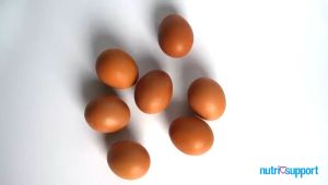 Nutri Support Omega Rich Premium Cat / Kitten / Senior Food Treats / SnacK