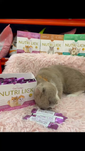 GEL DINH DƯỠNG NUTRI LICK CHO MÈO