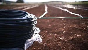 Dây Nhỏ Giọt tròn 16mm tích hợp béc bù áp khoảng cách 50cm dripline – Kiến Toàn