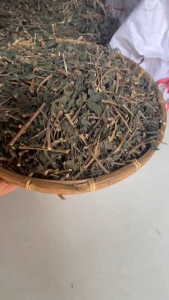 1kg Cây Dòi Thân Tím phơi khô (Cây Dòi Tía Bọ Mắm Khô) đóng gói sạch sẽ